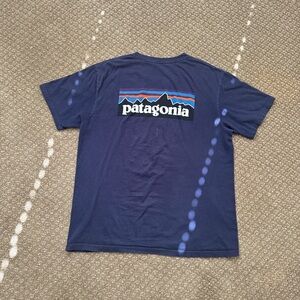 Patagonia Blue Logo Tee